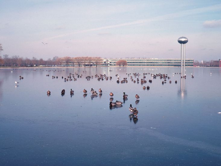 Lake at General Motors Technical Center, Nov. 1967